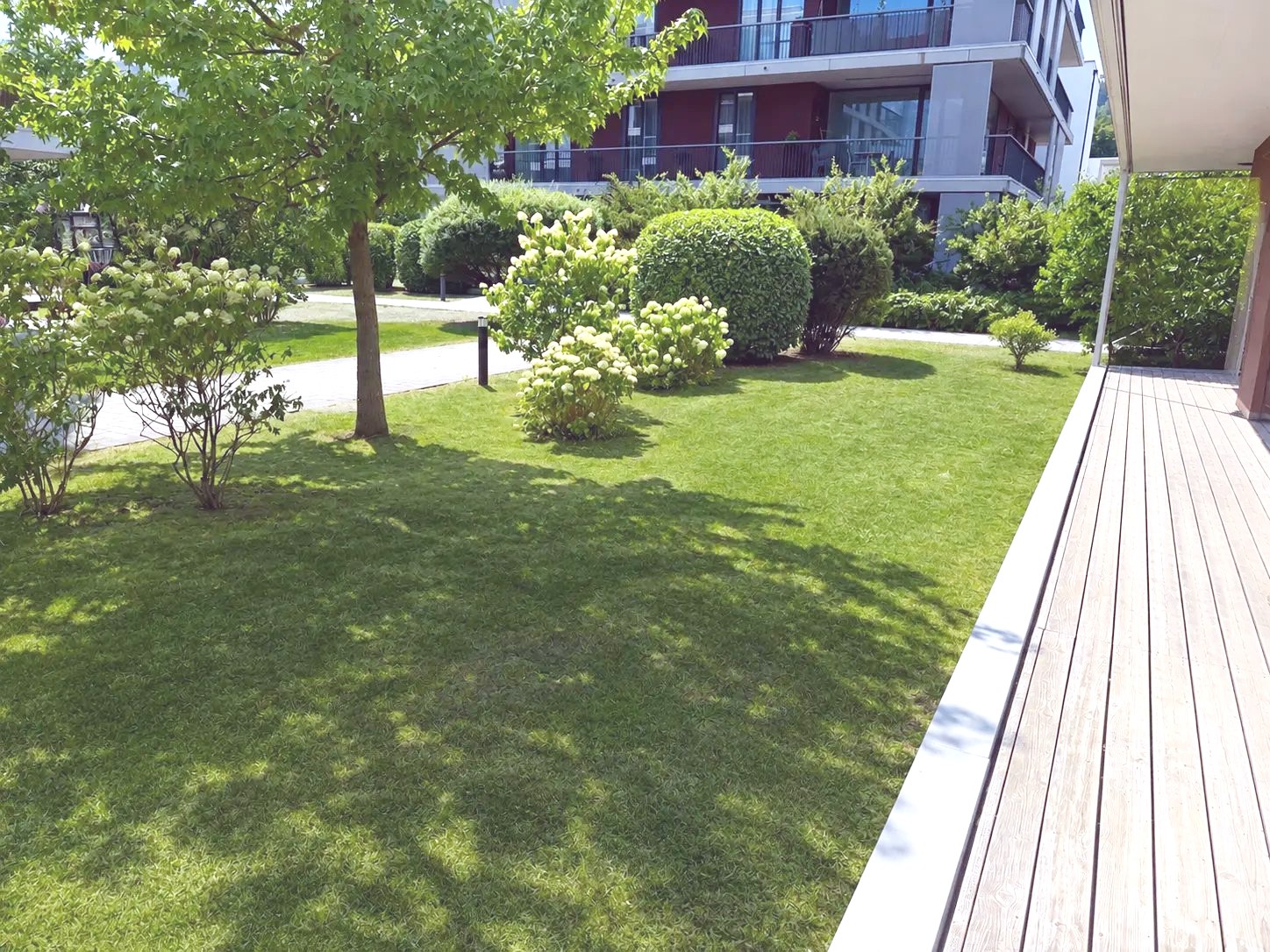 Rasenfläche mit Baumbestand und Hortensien am Terrassenrand